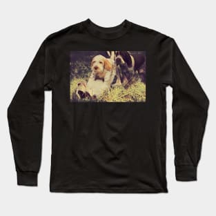 Italian Spinone Puppy Wrestling Long Sleeve T-Shirt